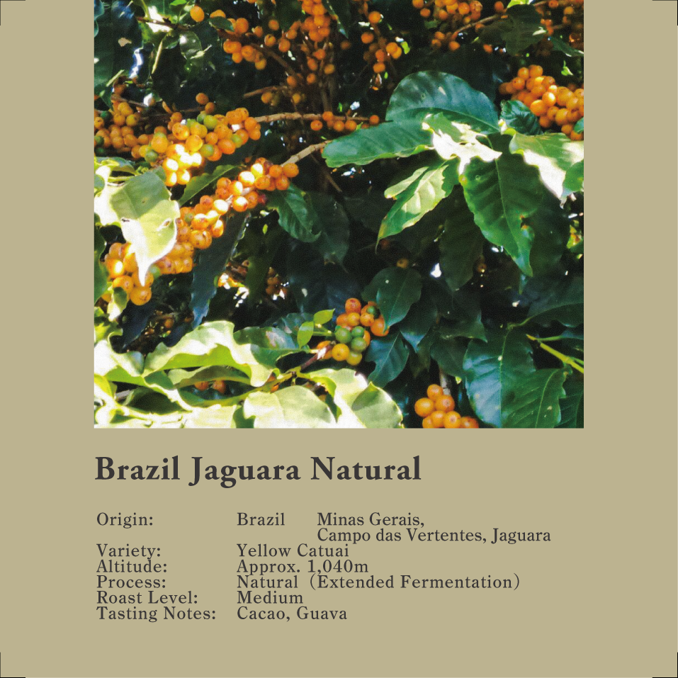 Brazil Jaguara Natural 200g