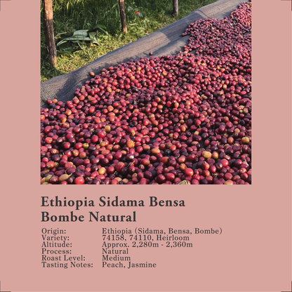 Ethiopia Sidama Bensa Bombe Natural 200g